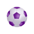 betfix55